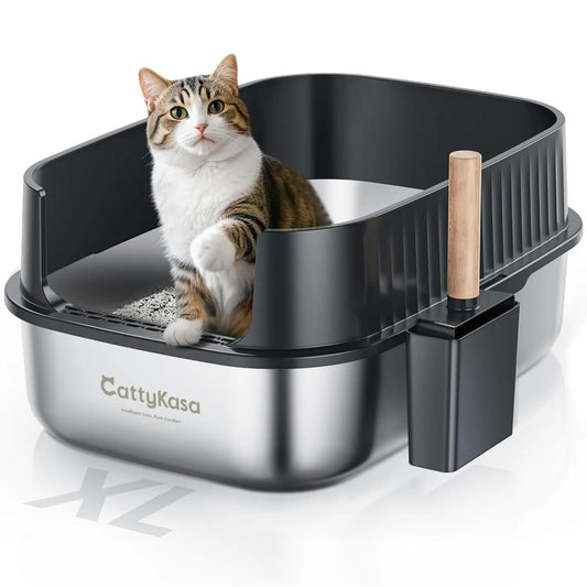 Large Cat Litter Box