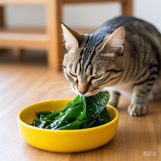 Do Cats Like Sea Moss? Benefits & Safety Tips for Your Feline