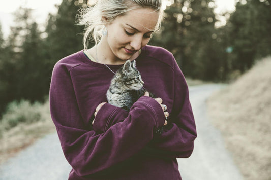 The Purr-fect Signs of a Happy Cat