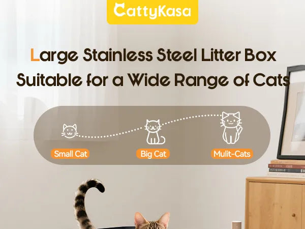 Odor-Control Litter Box product details