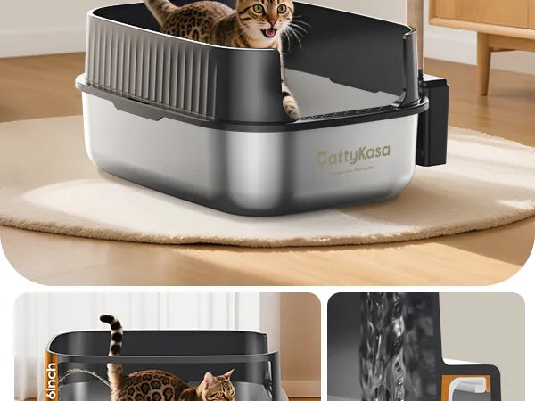 Odor-Control Litter Box product details