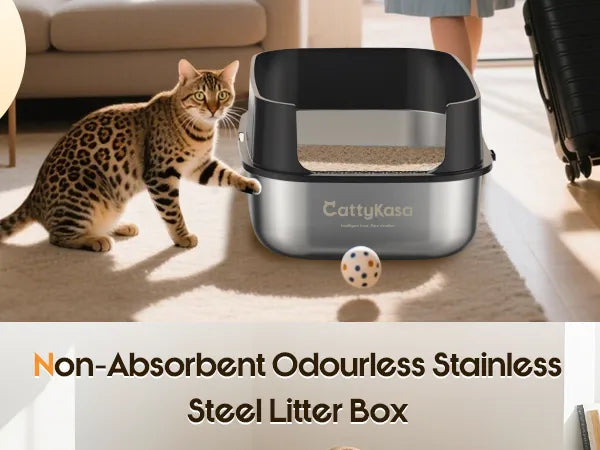 Odor-Control Litter Box product details