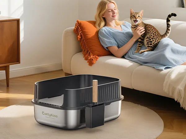 Odor-Control Litter Box product details