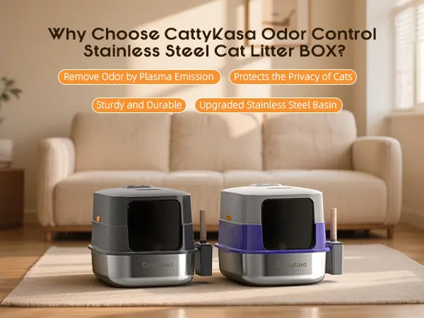 Odor-Control Litter Box product details